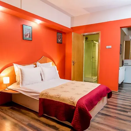 Apartment Coltea *
