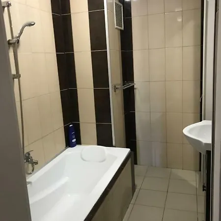 Apartment Coltea *