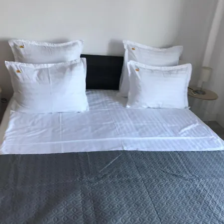 Apartment Coltea *